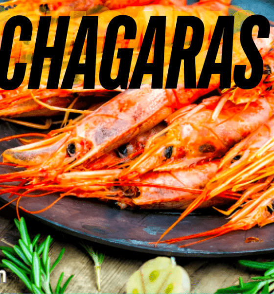 Chagaras