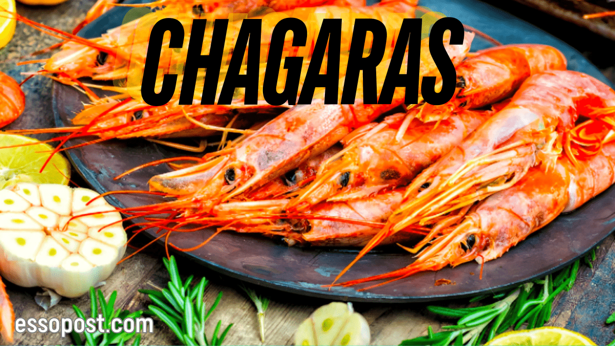 Chagaras